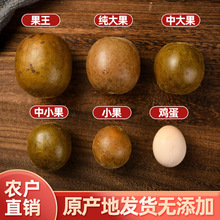 �_�h���������b �V�����֮a���ؼ��_�h�����Ұ���_�h���ɻ���