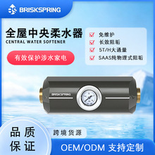 全屋中央柔水器家用无盐地暖热水器阻垢去除水垢过滤器净水器跨境