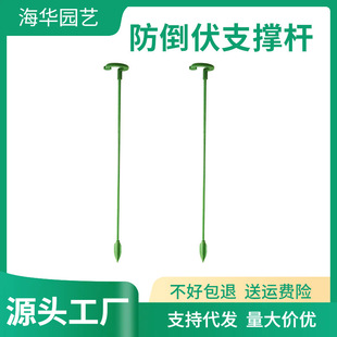 �����m���ܗU����֧��ֲ�����Ի�������֧�ΗU�̶����������l�Gֲ