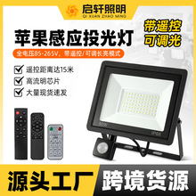 LED遥控投光灯100W带遥控器感应投光灯50W可调亮度感应苹果投光灯