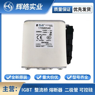 170m1310 170m1311 New Original New Energy Available Fuse Accessories Digital Components