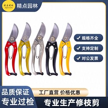 ��֦��@ˇ��������֦���ü����@�����¿��������֦��ˇ�޻���