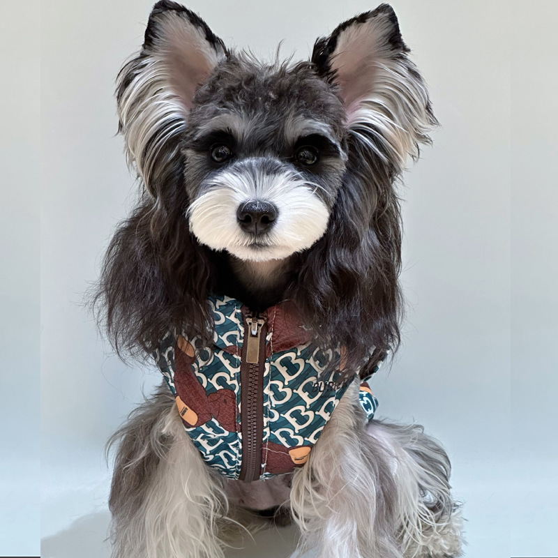 Pet Clothes Schanery Teddy Bixiong Corgi Chai Dog Down Jacket White Duck Down Autumn and Winter Warm Fashion Brand Pet Clothes Schanery Teddy Bixiong Corgi Chai Dog Down Jacket White Duck Down Autumn and Winter Warm Fashion Brand