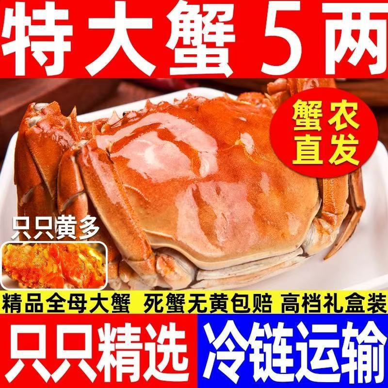 鲜活大闸蟹满黄现货全公母蟹特大螃蟹河蟹海鲜水产批发礼盒装团购