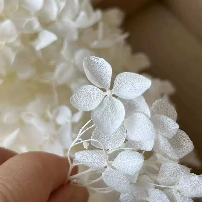散装安娜绣球花永生花 称重绣球花瓣手工材料装饰礼品配饰DIY干花