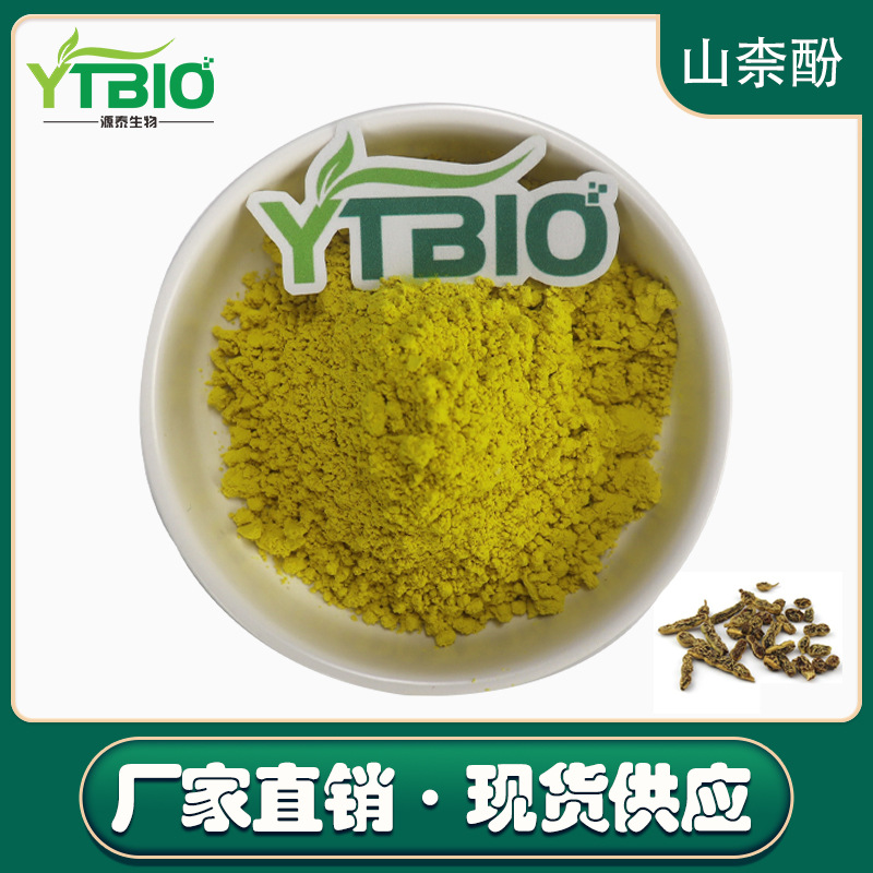 100克/袋 山奈酚98% 槐角提取物 520-18-3 现货供应