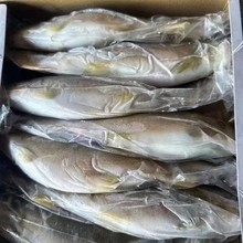 �ձ�̨�����~̼�����B�ձ�����10�^һ�����b10��