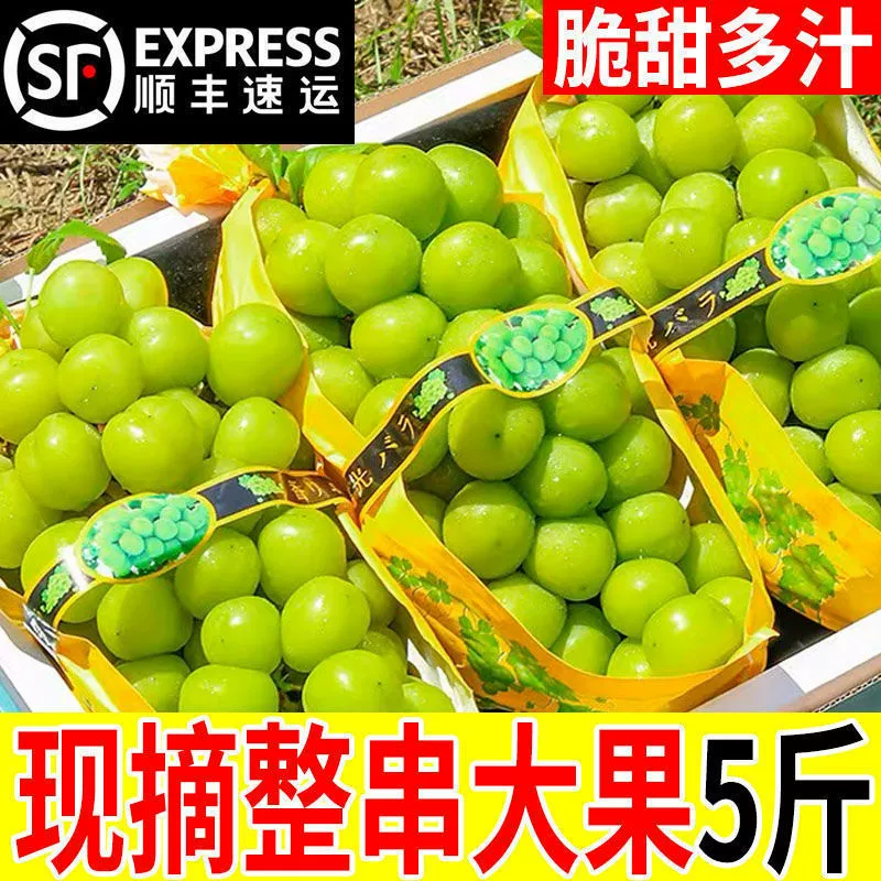 Солнечная роза, виноград, свежие фрукты, виноград Цинван, зеленый виноград, крупные плоды, целые гроздья, отечественный, целая коробка, оптом