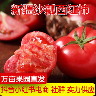 �½����_��˹���t�����r�Fժ����ɳȿ���t�����Է���һ�����l