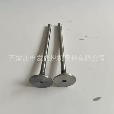 3940735, exhaust valve – Valves and components