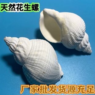 ��Ȼ����ؐ���������~��ˮ��ľ�з��Q���Ӽ��b̌W