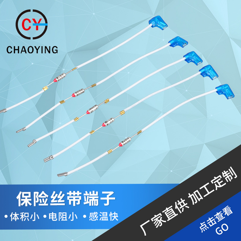 金属保险丝不可自动复位温感紫铜线电器尖头管状保险丝带端子厂家