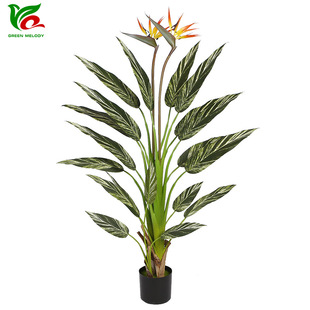 �羳�����Gɽ�� ���~�����Gֲ�������˽������B�@���쾰�b�ֲ��