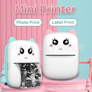 Портативный фотопринтер WalkPrint X1, беспроводной Bluetooth термальный, 200 DPI, USB‑C, мобильное приложение