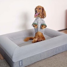 ��������͹��C����|������ů������Ʒ�ɲ�ϴɳ�l���˿�˯����