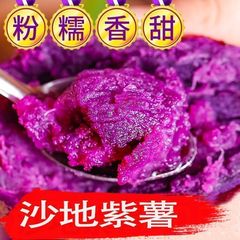 新鲜沙地紫薯粉糯香甜红薯番薯地瓜紫罗兰蜜薯5斤支持代现挖直发