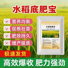 水稻底肥宝水稻种植专用调理土壤促根壮苗改善品质微生物肥
