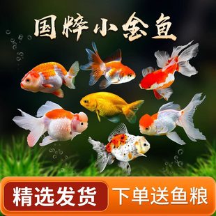 ���~��ˮ�^�p�~��ˮ�t���\���c�ݽ��m�۪{���^�̽���B�ͻ�С���~