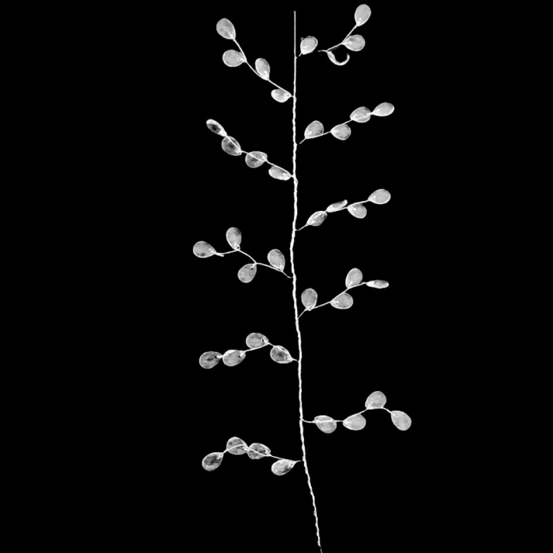 O1CN013eal8E21mPuEiuaoz_!!2484