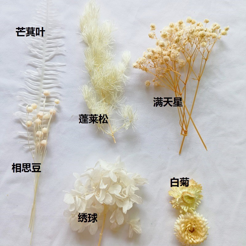 Festival bricolaje hecho a mano material de flor eterna planta flor seca florero flotante aromaterapia flor seca abanico de material paquete al por mayor