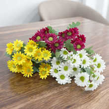 Сrφ֧diyٻb͏d[OʾջԻ