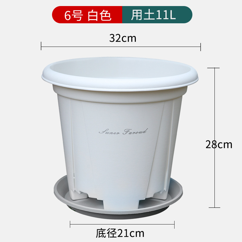 特大サイズの厚いガロン鉢青山プラスチック鉢に木を植えます。|undefined