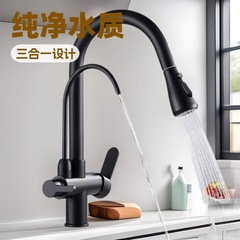 全铜厨房抽拉式冷热水龙头三合一纯净直饮水龙头洗菜盆洗碗池水槽