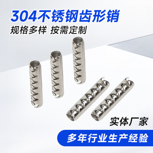�S�����l304���P��X���N �A���X�Ώ����N ��X�N���y���X�����N