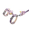 Cross -border adjustable pet cat gradient color traction rope set Small dog dog rope dog work