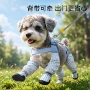 四季大型条纹耐磨裤
