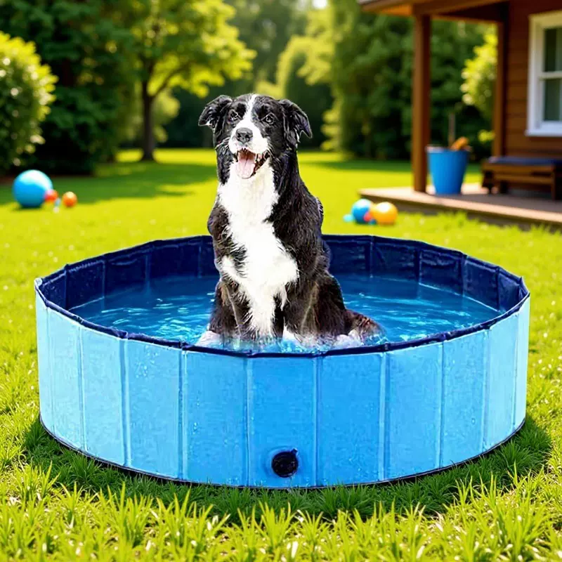 宠物浴池狗狗洗澡盆防滑料PP板加厚耐磨亚马逊热销升级PP板狗水池