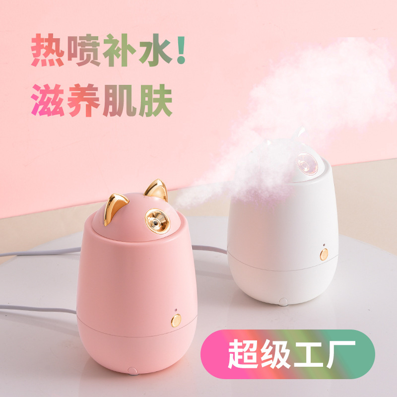 新しい顔蒸し器の水補充器は家庭用美容器のナノアロママスクの水を補充して保湿スプレーの卸売りをします。|undefined