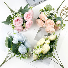 �nʽ5�^��˹ĵ������ ��ɫ����С�ѻ��bҾә���С�[���zӰ����