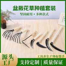 ������砵����^�z�@�ֲˈ@�������X�����Ի��ݷNֲ�r�I�������b