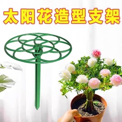 太阳花棒棒糖造型支架叶仙人掌蟹爪兰嫁接用单层多层支撑爬藤花架