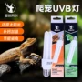 2u爬宠乌龟背灯