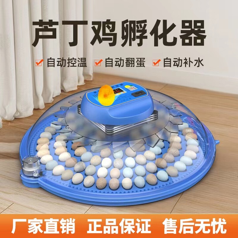 Automatic Egg Incubator Household Chicken Incubator Mini Xuan Feng Parrot Rutin Chicken Incubator A8 Small Flying Saucer
