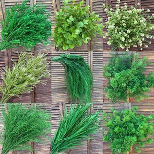 ����Gֲϵ�з��滨�~�ӑ����ƺ��Y�bƵ깤�����컨�Gֲ�ٻ�