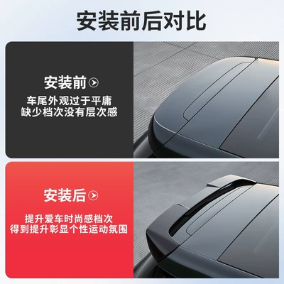 wing, sports painted rear spoiler, Fixed wind wing