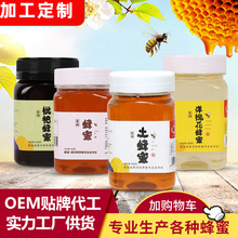 瓶装蜂蜜厂家贴牌加工可定制500g土蜂蜜洋槐花蜜农家自产礼品源蜜