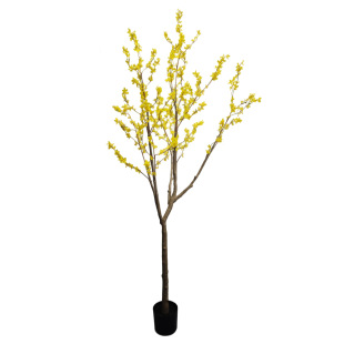 ӭGֲԼҾӾƵb辰٘쾰҃b