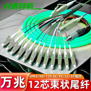 OM 30000 M50/125LC/FC/SC/ST12 Core Bundle Pigtail Multimode OM3 Fiber Bundle Pigtail Fusion