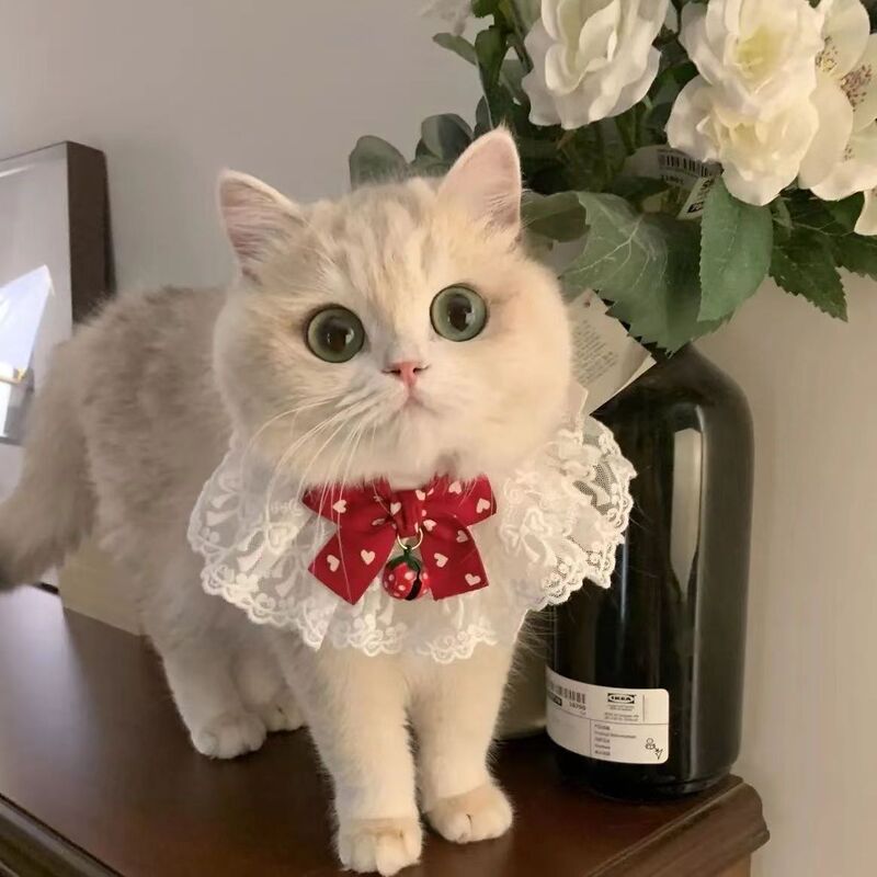 クロスボーダー新しい猫唾液タオルスカーフ蝶ネクタイペット首輪よだれかけスカーフ犬の首輪装飾よだれかけ|undefined