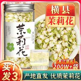 新品茉莉花干茶包横县直供浓香型茉莉花新茶茉莉花泡水喝原茶产地