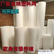 �����Bֳ�W�B�����z�W����ڷ��o�WƬ�u���Z�Bֳ���r�_�|©�S�W��