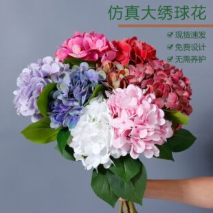 �p�ݸ߼��з����ָд��򻨻�c�Ҿӿ͏d������ˇ�bٻ��[��