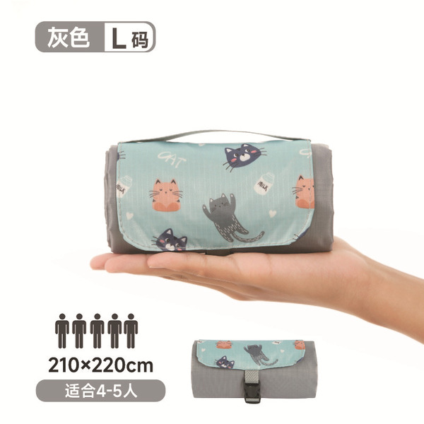 Handheld light and thin beach carpet for traveling for camping