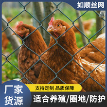 浸塑农牧场圈地养殖羊驼骆驼编织勾花网工厂养殖防护菱形网