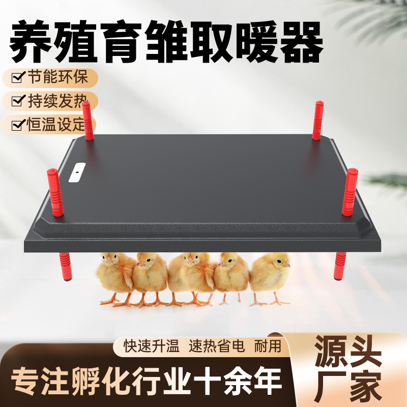 Nuevos productos transfronterizos para mascotas calentador de paneles de aislamiento calentador de pollo criador de pollo criador de pollo