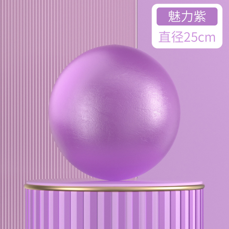 イージャ プラティボール 防爆フィットネスミニボール 25cm 妊婦用ヨガ 子供用感覚統合トレーニングボール 妊婦に最適|undefined